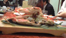 カニカニ.gif