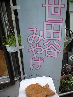 CA390610.jpg