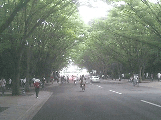 070703_1636~0001.gif