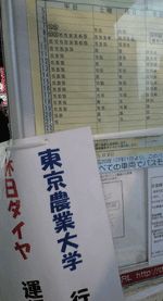 ダイヤ.gif