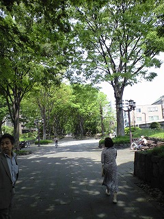 氷川神社.jpg