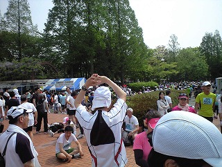 s-CA390309.jpg